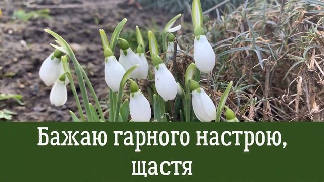 Привітання Денису з днем Ангела! Музичне вітання з іменинами Дениса! Привітання з іменинами Дениса смотреть онлайн