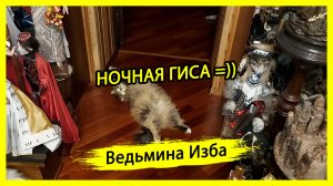 НОЧНАЯ ГИСА =)). #ВЕДЬМИНАИЗБА ▶️ #МАГИЯ