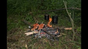 Песня - "Форель".