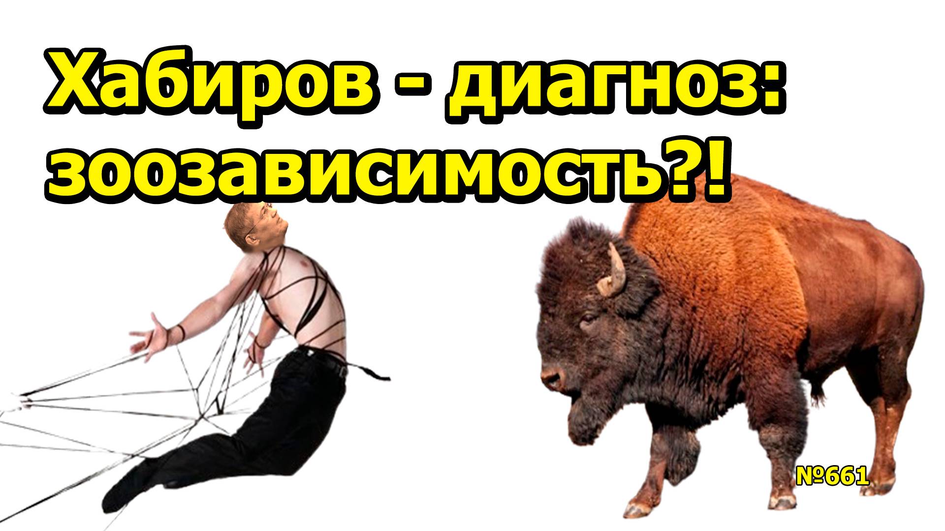"Хабиров - диагноз: зоозависимость?!" "Открытая Политика". Выпуск - 651. 15.02.25