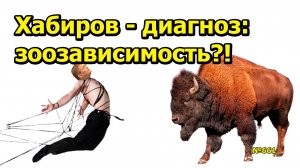 "Хабиров - диагноз: зоозависимость?!" "Открытая Политика". Выпуск - 651. 15.02.25