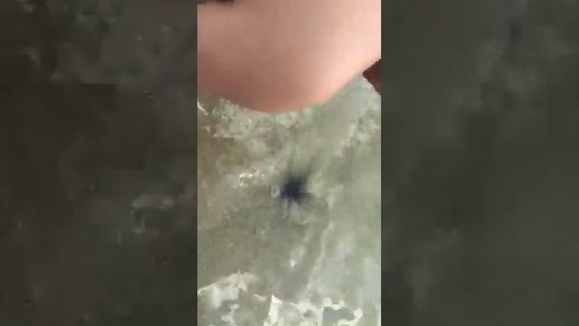 Wang Sai beach, Koh phamgan island, thailand смотреть онлайн