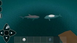 Survivalcraft Beluga vs great shark