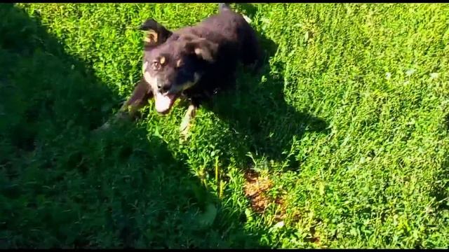 как стать блоггером?! /что снять в 2022 году? смотреть онлайн