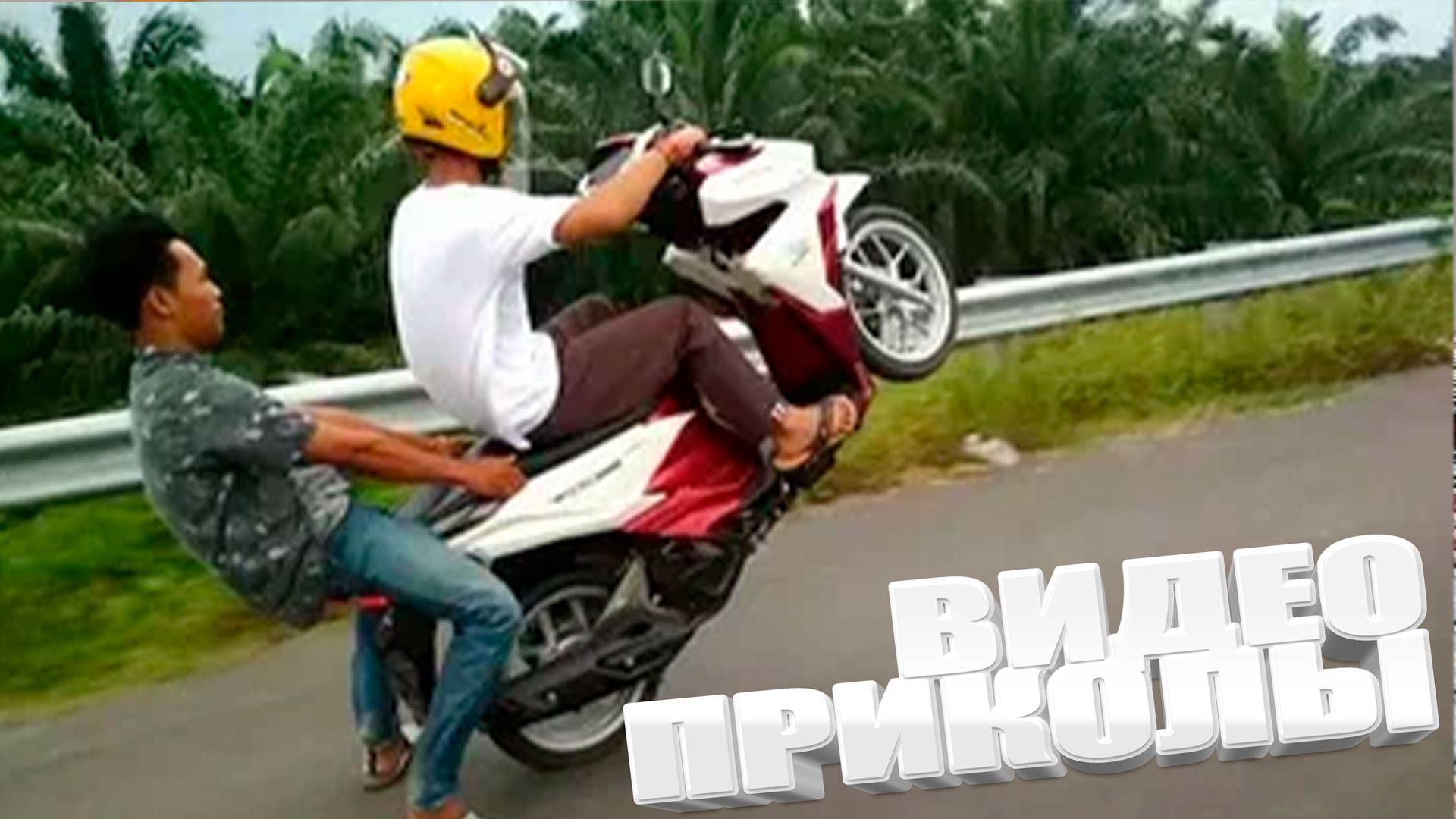 Доброго дня смешные