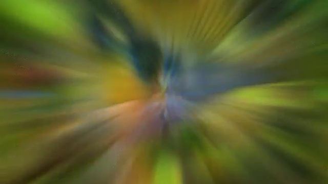 аквариумные рыбки 8 смотреть онлайн