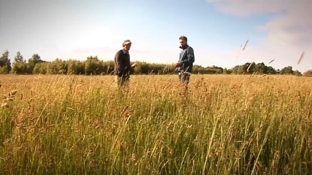 Paranormalna Polska - Tajemnica polskiej piramidy смотреть онлайн