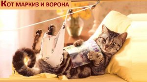 КОТ МАРКИЗ И ВОРОНА