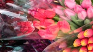 Самый дешёвый, но качественный 🌷 на центральном рынке города Бреста. Поздравляю всех с праздником!!