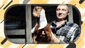 КОЗЛЯТА РАЗЛЕТЕЛИСЬ КАК ГОРЯЧИЕ ПИРОЖКИ🐐🐐🐐🐐🐐