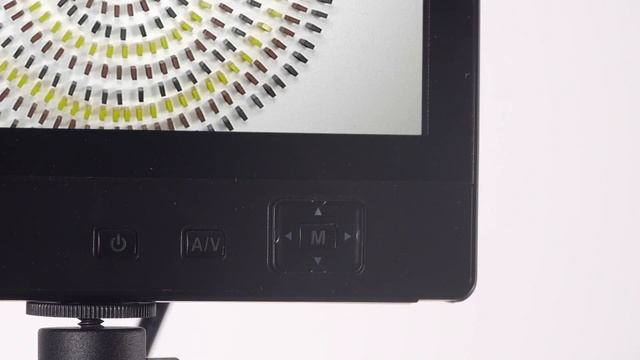 girella Domino смотреть онлайн