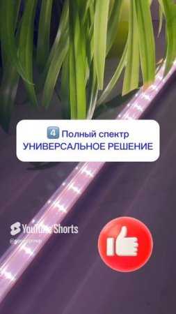 ФИТОСВЕТИЛЬНИКИ ТМ General 🌿