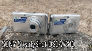 Обзор фотоаппарата SONY SteadyShot DSC-W310