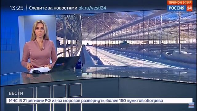 Ольга Башмарова 23.01.2018. Россия 24 смотреть онлайн