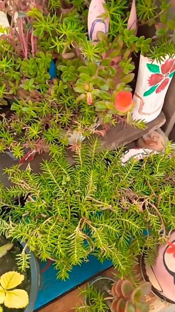 25 March 2024 смотреть онлайн