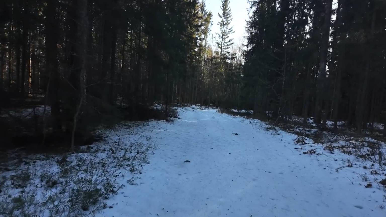 Провести 3 дня в дикой природе в приюте для выживания! Кемпинг в одиночку в холодном зимнем лесу