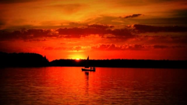 Beata z Albatrosa смотреть онлайн