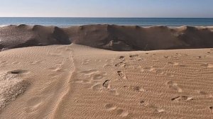 14.02.Песчаные пляжи Анапы. Настройка просеивающей песок техники. 👍