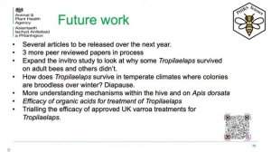 Эффективность щавелевой кислоты против клеща Тропи (Tropilaelaps) - Дэн Этеридж (автоперевод)