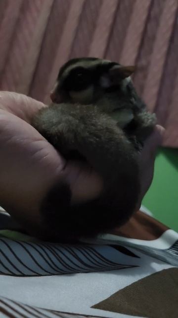 January 2, 2024 смотреть онлайн