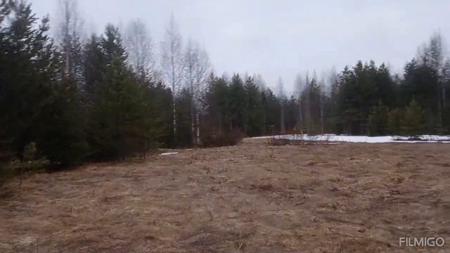 открытие сезона. вальдшнеп смотреть онлайн