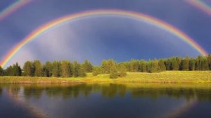 Грибной дождь