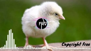 Chicks sound effect free | kids chiken sound copyright free | free music vander.