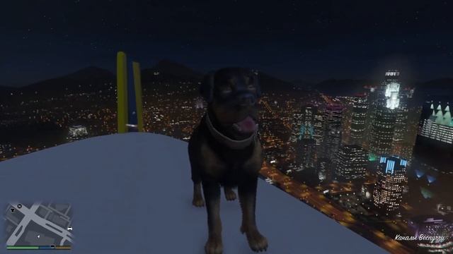 ЧОП ХОЧЕТ СТАТЬ ИНВАЛИДОМ ЧТО СЛУЧИЛОСЬ ? смотреть онлайн