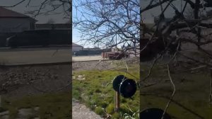 WhatsApp Video 2025-02-14 at 16.50.08