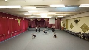 Веселые шоферы