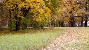 ФУТАЖ Осень - FOOTAGE Autumn