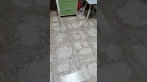 Маё первое видео