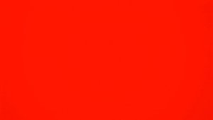 VID_2025_02_14_15_55_14_3867371011476875246080мы заблудились!?