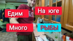 Переезд на ЮГ/Едим много РЫБЫ на юге/Самые лучшие отделочники ЕЙСКА