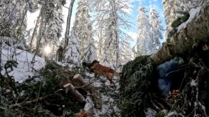 Лагерь  для выживание в  лесу , зимний кемпинг в глубоком снегу