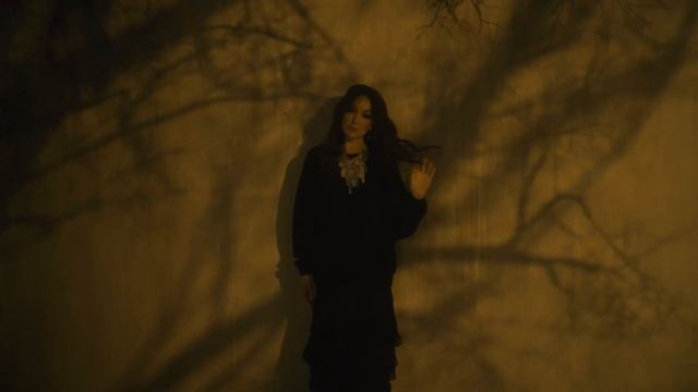 Sogdiana  Согдиана  Белыми стаями Mood Video Премьера 2025