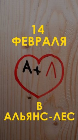 14 февраля в Альянс-Лес