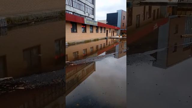 ЗАПРУДНЕНСКАЯ ЗАВОДСКАЯ ЛУЖА - УЖАС . смотреть онлайн