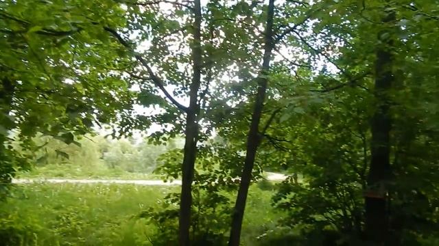 019 06 06 2015 Г ГОЛУБЕЙ НАВЕСТИЛ .... смотреть онлайн