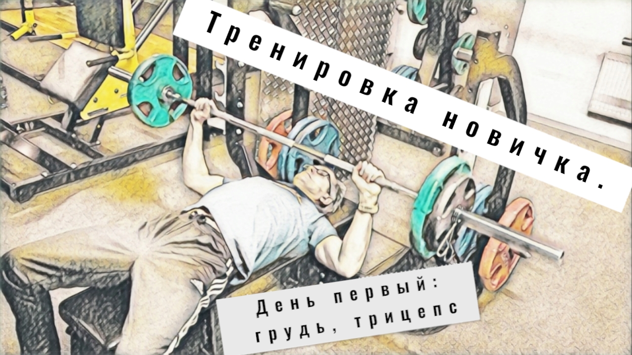 Тренировки новичка. 1-й день: грудь, трицепс.