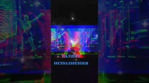 Кавер, мохнатый шмель