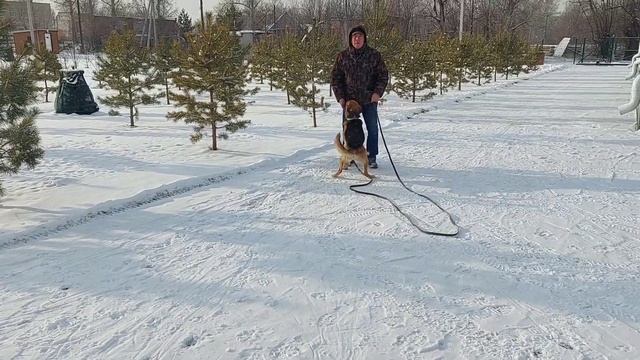 Развитие команды ко мне. смотреть онлайн