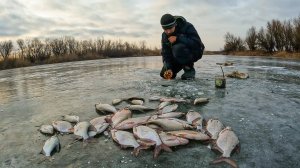 НАТКНУЛСЯ НА ЖОР КРУПНОЙ ГУСТЕРЫ. КЛЁВ КАК ПО ПЕРВОМУ ЛЬДУ! Подлёдная рыбалка в Астрахани.