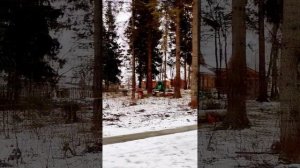 Валимдробим