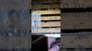 Зимовка пчёл бакфаст на Южном Урале на 14 февраля 2025 года