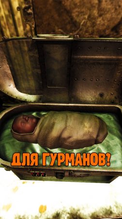 Ужасный поступок в Fallout 3