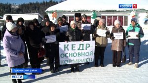 Рубка прителецкой тайги остановлена