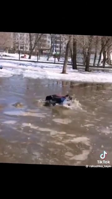 нравятся такие ситуации