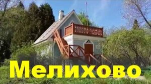 Музей-заповедник А.П. Чехова "Мелихово". Укромные уголки. Легендарная сосна у берега пруда