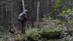 Выживание в лесу без палатки и спального мешка, самостоятельно строю убежище для выживания.